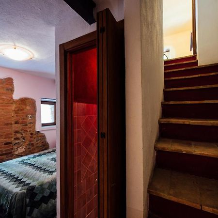 Agriturismo Il Noce Castiglione dʼOrcia Exteriér fotografie