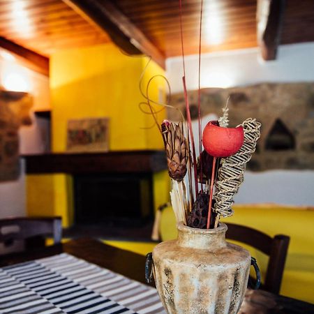 Agriturismo Il Noce Castiglione dʼOrcia Exteriér fotografie